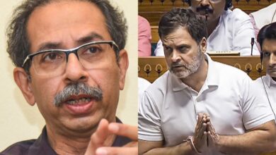 Rahul did not insult Hindutva: Uddhav backs Cong leader amid row
