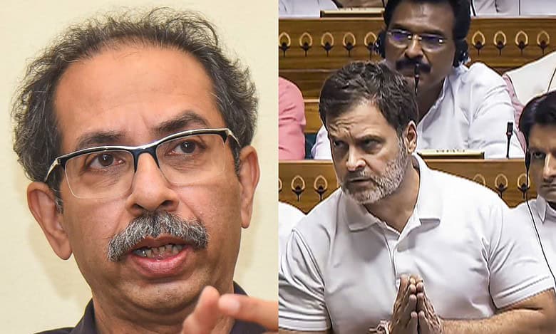 Rahul did not insult Hindutva: Uddhav backs Cong leader amid row