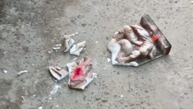 UP: Ganesh's idol broken, Hindu priest blames two Muslim man as culprits