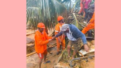 Kerala sets up cell for CMDRF donation queries on Wayanad landslides