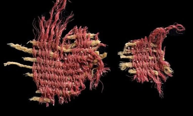 Israeli archaeologists find earliest evidence of biblical scarlet dye