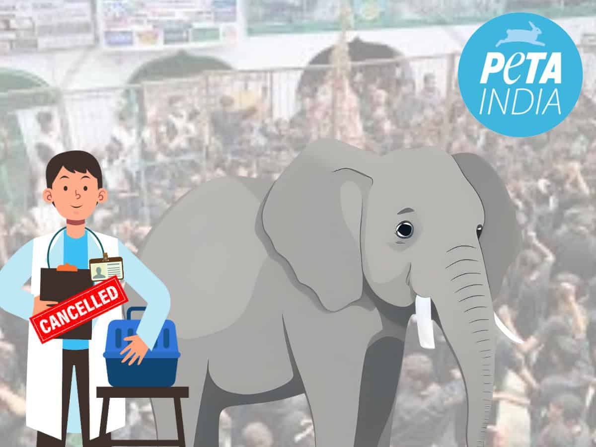PETA India demands license revocation over 'false' health certificates for elephant Roopavathi