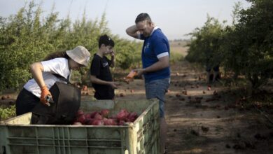 Israeli farmers