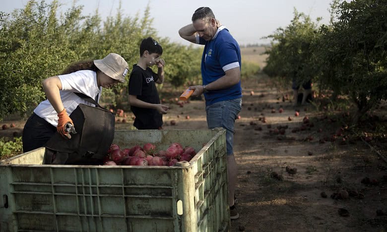 Israeli farmers