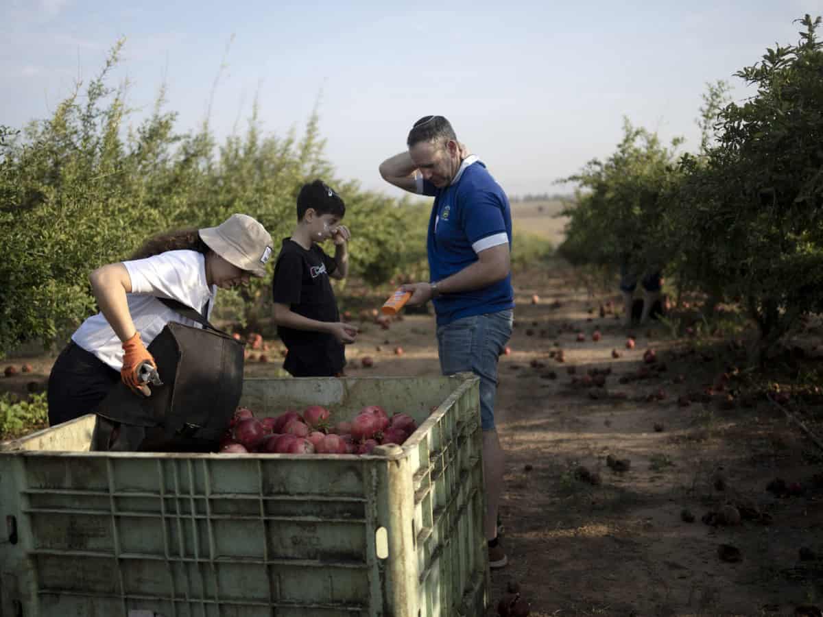 Israeli farmers