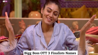 Prediction: Top 5 finalists of Bigg Boss OTT 3
