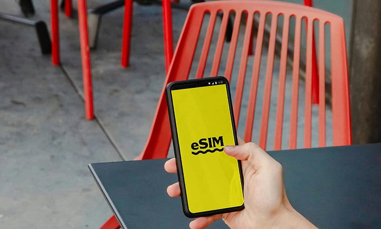 Over 9 bn eSIM-capable devices to be shipped by 2030 globally: Report