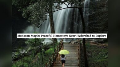 Monsoon 2024: Top 5 unique homestays near Hyderabad
