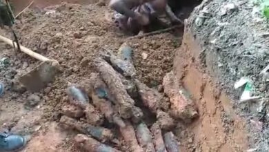 mortars shells