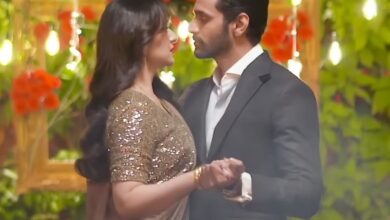 Yumna Zaidi, Wahaj Ali share good news for Tere Bin fans