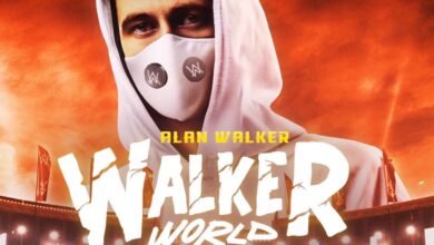 Alan Walker's concert in Hyderabad: Ticket prices touch Rs 4 lakh