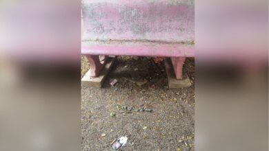 Dammaiguda park littered
