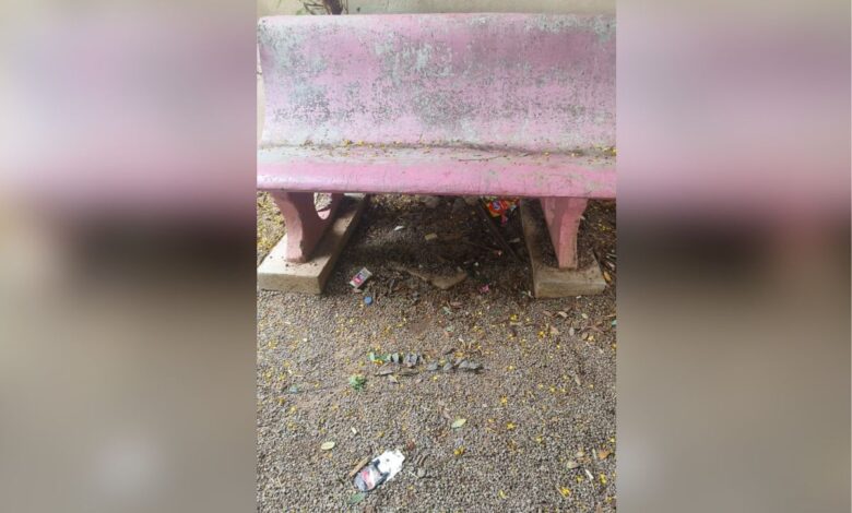 Dammaiguda park littered