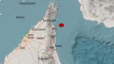 3.0 magnitude earthquake hits Oman Sea, tremors felt in UAE