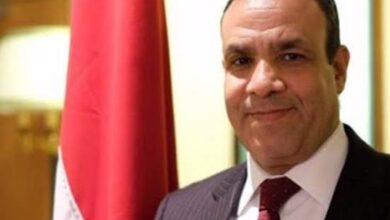 Egyptian FM visits Lebanon to convey support