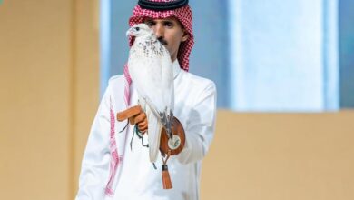 Peregrine falcon chick sells for record Rs 89L at Saudi auction