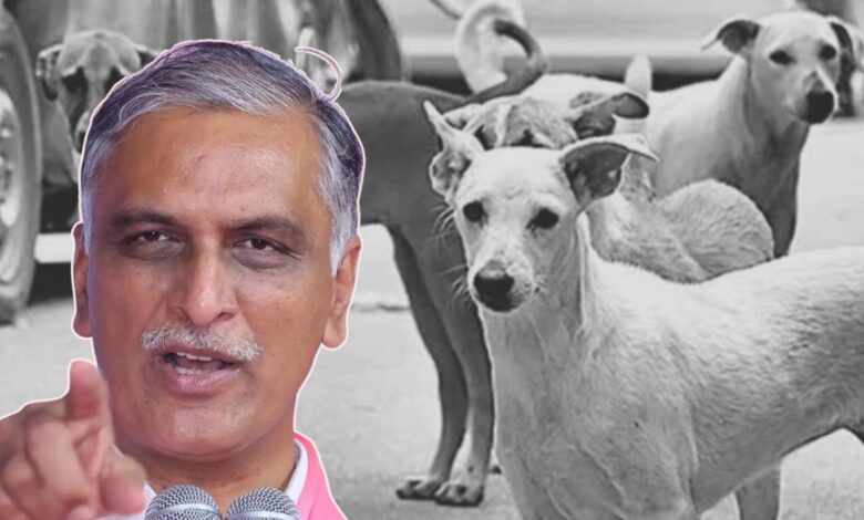 Harish Rao claims that there were 343 caszes of dog bites in the last 8 months.