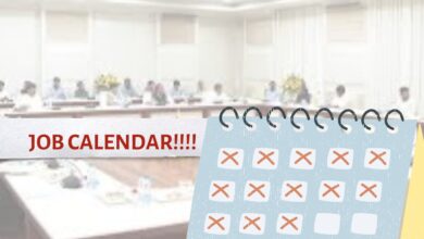 Telangana: Job calendar for youth to be released on Aug 2
