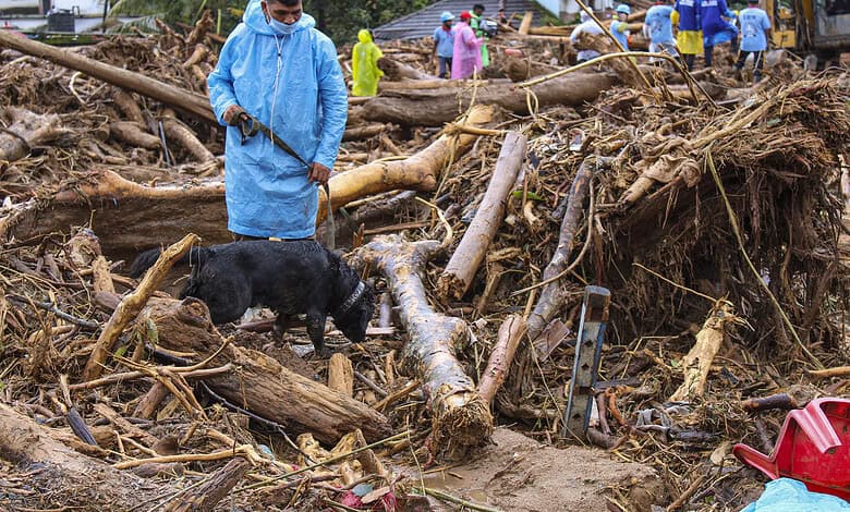 BJP cites rule to reject ‘national disaster’ status for Wayanad landslides