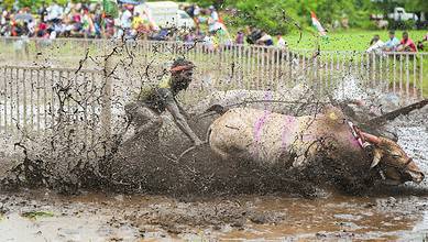 In pics: Nangrani festival in Maharashtra's Ratnagiri