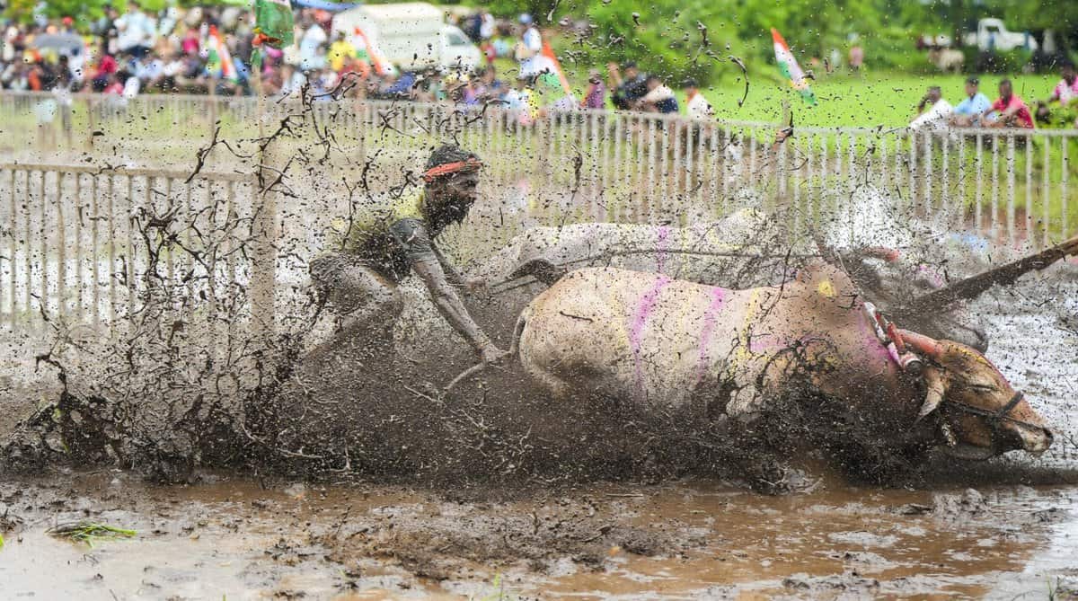 In pics: Nangrani festival in Maharashtra's Ratnagiri