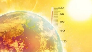 Madinah records highest temperature in Saudi Arabia