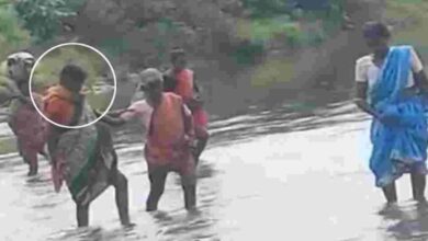 The incident happened on Friday, at Venkatapur Gram Panchayat in the Asifabad mandal of Komuram Bheem Asifabad district.