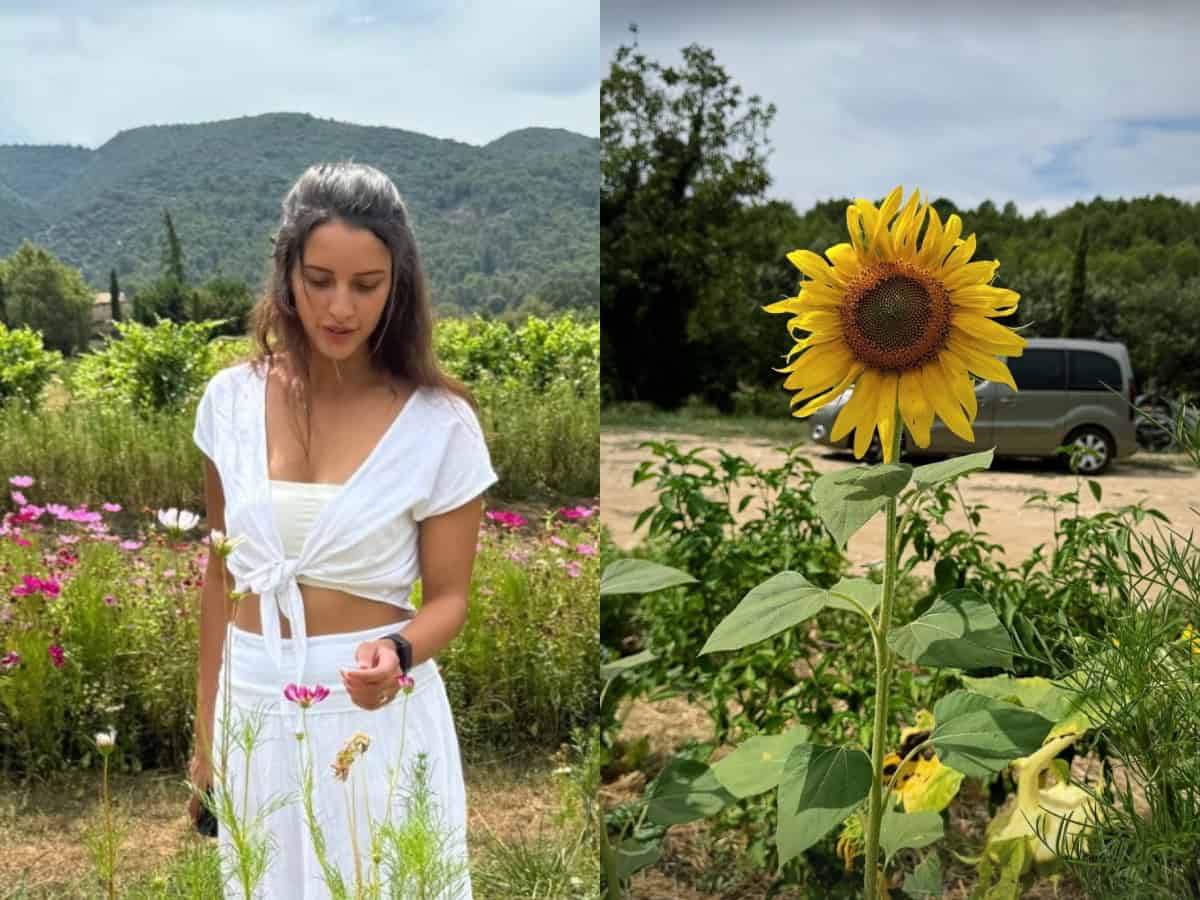 Triptii Dimri manifests her life's vision in the lap of nature