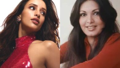Triptii Dimri's new movie, actress to star as Parveen Babi: Report