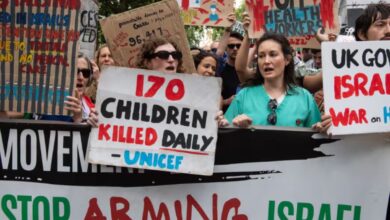 UK suspends arms sale licenses to 'Israel' 'pending review'