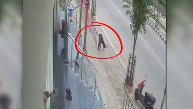 Stray dog attacks 18-month-old toddler in Karimnagar