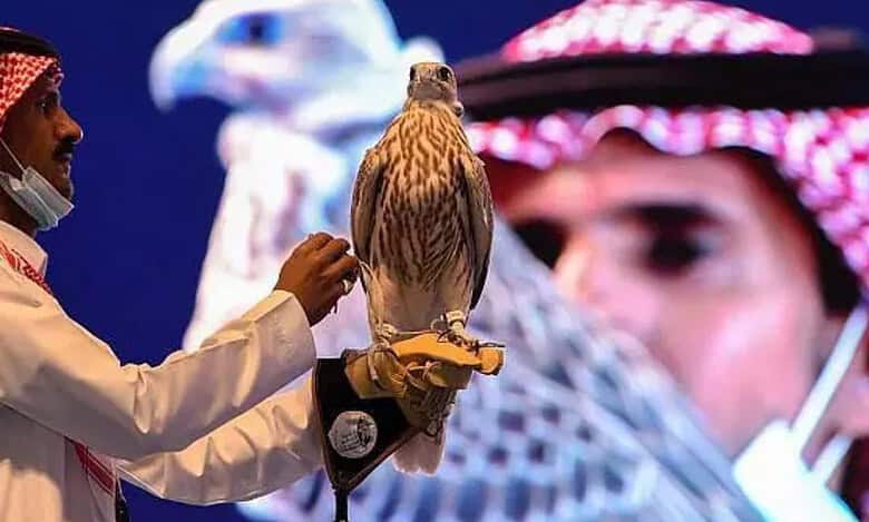 The 2024 International Falcon Breeders Auction