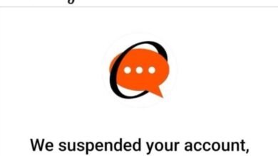 Opindia, a right-wing news outlet based in India