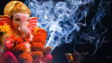 Hyderabad police issue guidelines for Ganesh procession