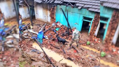205 people dead; 264 injured, says Wayanad district admin