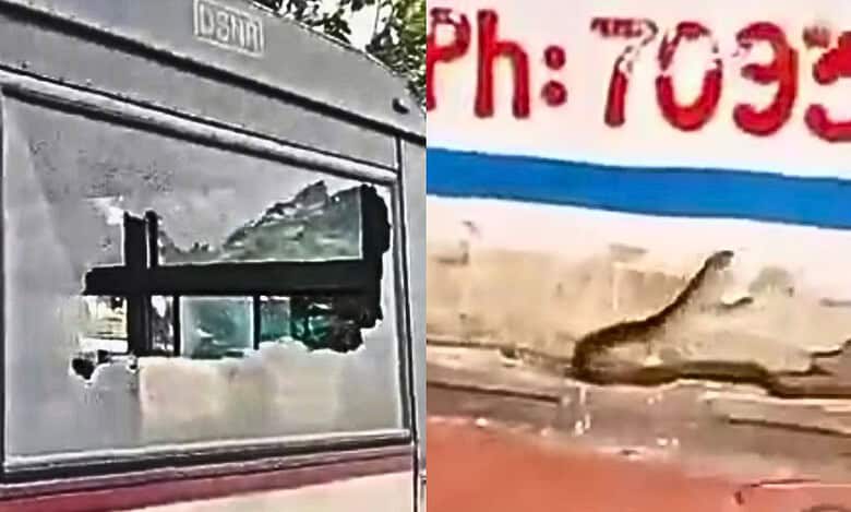 Woman hurls beer bottle at RTC bus in Hyderabad, throws snake on conductor