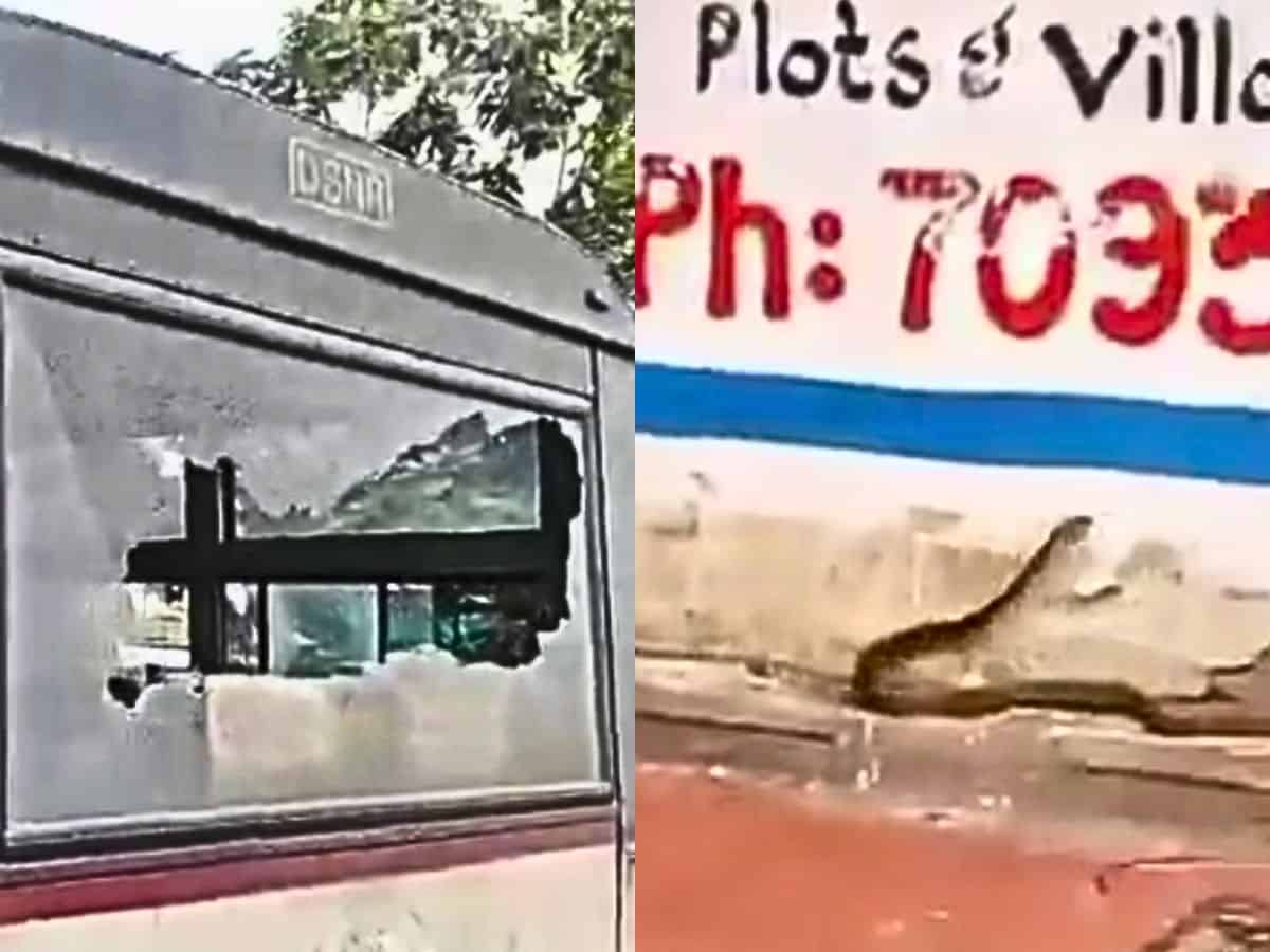 Woman hurls beer bottle at RTC bus in Hyderabad, throws snake on conductor