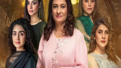 Noor Jahan, trending Pakistani saas-bahu drama you must watch!