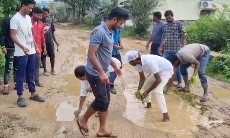 Video: Telangana residents plant rice in potholes to protest poor roads