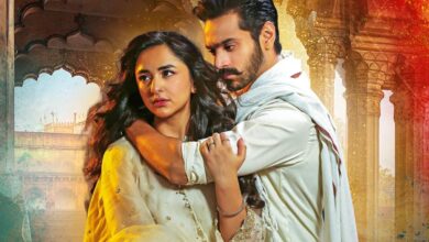 100M views! Pakistani drama Tere Bin achieves new milestone