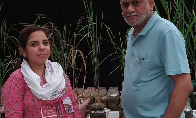 The researchers Bhumika Madan and Prof N Raghuram with the rice varieties.