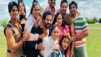 Khatron Ke Khiladi 14: Meet the top 5 finalists of this season