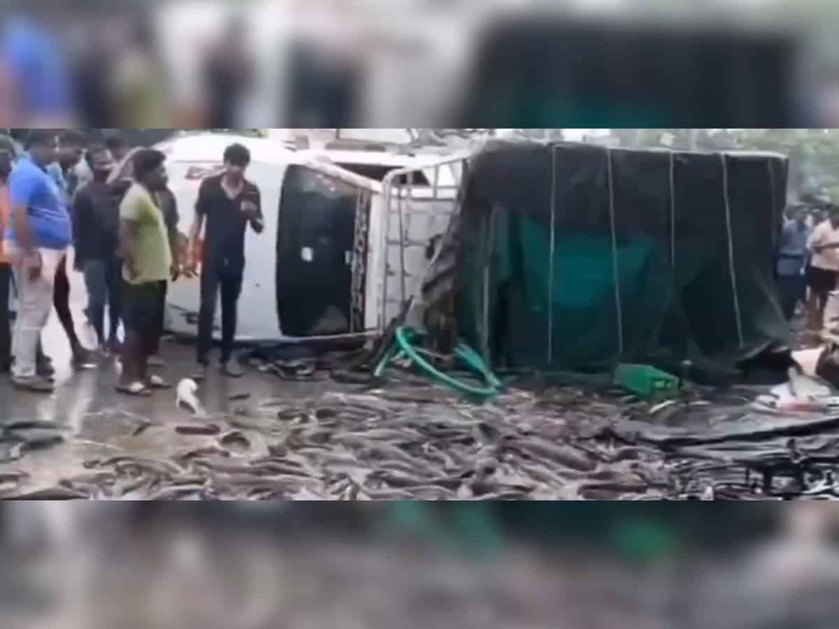 Live fish scattered on the road after carriage van overturned in Telangana