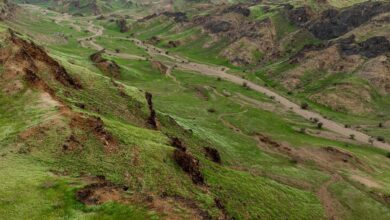 Watch: Mountains in Makkah turn green after heavy rainfall