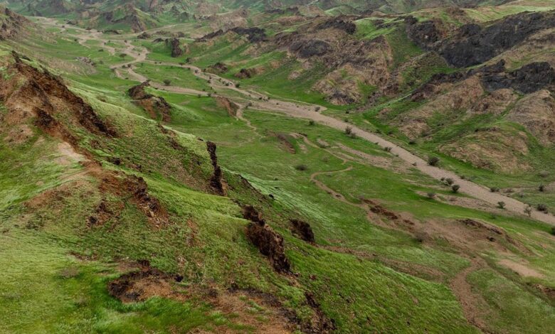 Watch: Mountains in Makkah turn green after heavy rainfall