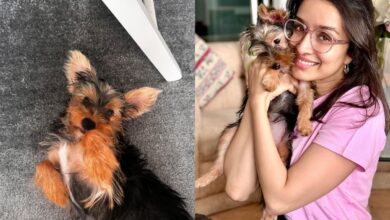 Shraddha Kapoor introduces her Insta fam to nanhi stree 'Small'