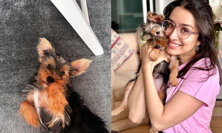 Shraddha Kapoor introduces her Insta fam to nanhi stree 'Small'