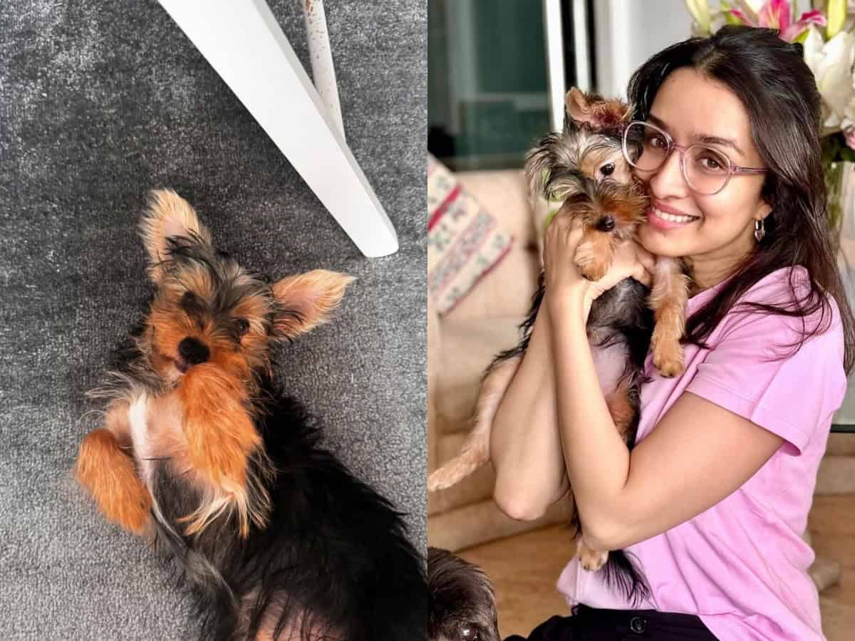 Shraddha Kapoor introduces her Insta fam to nanhi stree 'Small'