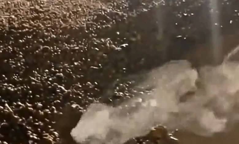 Hyderabad: Smoke from ground near KBR Park causes confusion