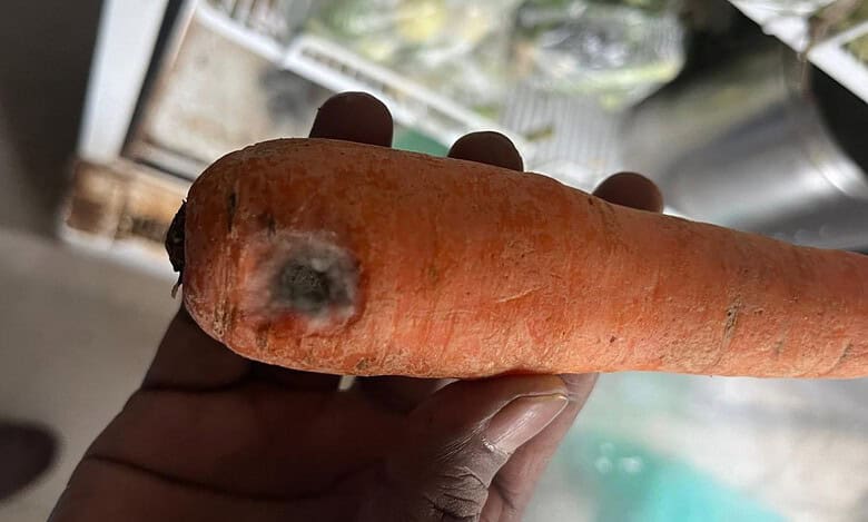 Food safety dept raids restaurants in Hyderabad, discovers fungus infested items